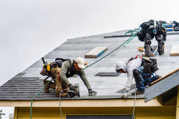 Professional Storm Damage Roof Repair technician working in Byron, MN